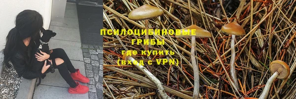 ешки Богородицк