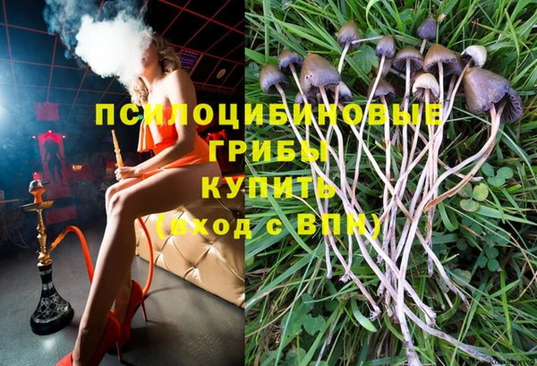 сатива Богородск