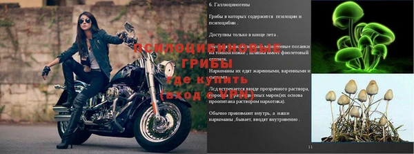 сатива Богородск