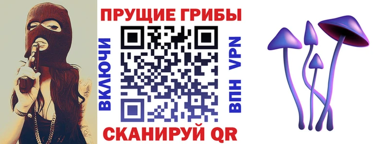 Псилоцибиновые грибы Psilocybine cubensis Кострома